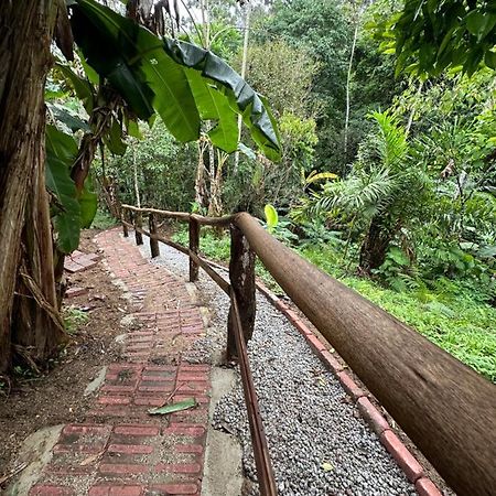 Vila Dos Passaros,Quarto 05 Itapema Zewnętrze zdjęcie